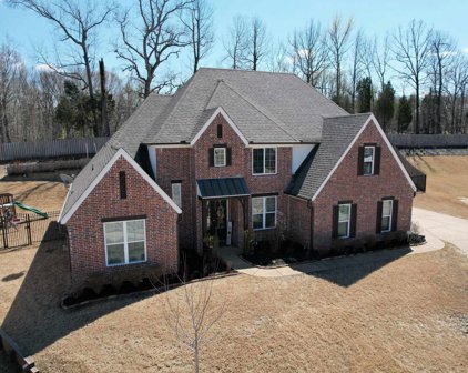 4498 Peppercorn Cv, Bartlett