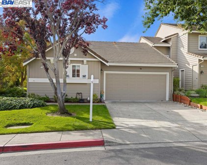 11418 Winding Trail Ln, Dublin