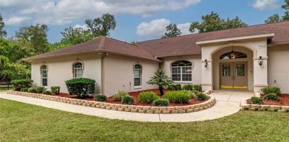 3561 Sw 49th Terrace, Ocala