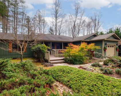 141 Middle Connestee  Trail, Brevard