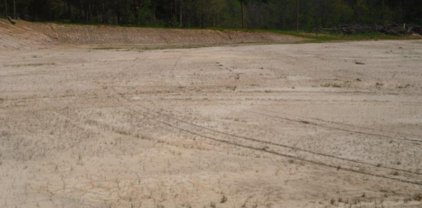 TBD Hwy 271, Gilmer