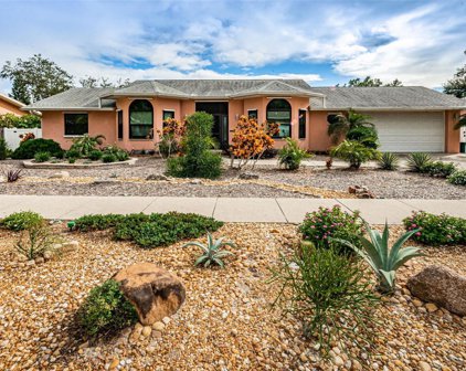 1017 Jamaica Way, Tarpon Springs