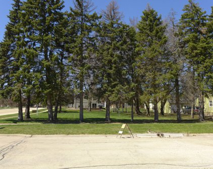 110 N Chase Avenue, Bartlett