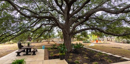 151 Unbridled, Austin