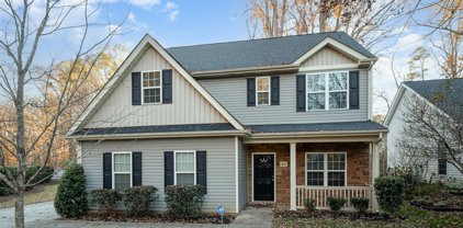 13225 Chelsea Ridge  Lane, Huntersville