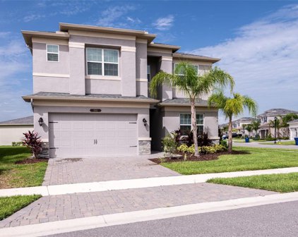 3101 Hollow Hickory Place, Wesley Chapel