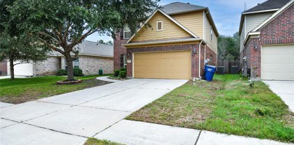 28939 Birch Green Way, Spring
