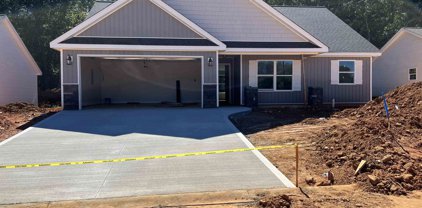 103 Caylee, Chesnee