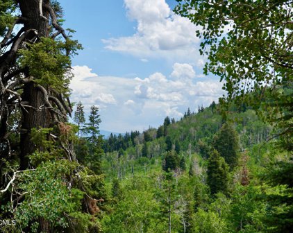 1558 Tollgate Canyon Road, Coalville