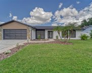 4315 Hollow Hill Drive, Tampa image