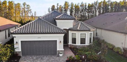 29546 Ginnetto Drive, Wesley Chapel