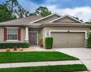 2706 Holly Bluff Court, Plant City image