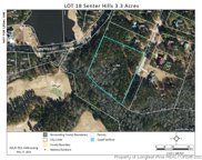 444 Senter Lane, Bunnlevel image