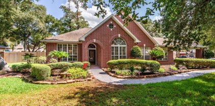 11002 Albury Park Lane, Tomball