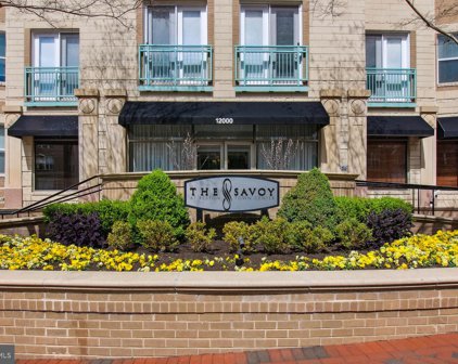 12000 Market St Unit #174, Reston
