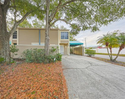 6924 Lakeview Court, Tampa