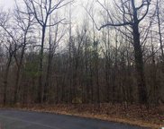 Tract 2 County Road 137, Cedar Bluff image