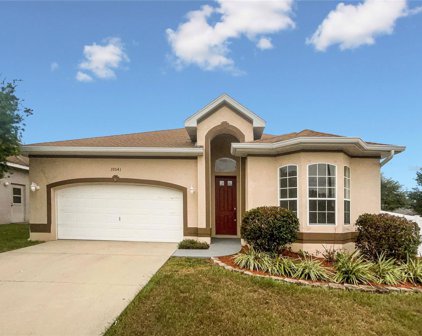 37041 Highland Bluff Circle, Dade City