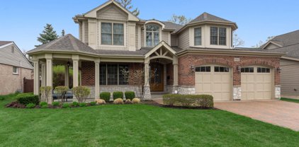1333 N Race Avenue, Arlington Heights