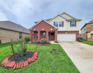 14108 Wedgewood Lakes Court, Pearland image