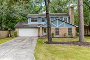 45 Coralberry Road, The Woodlands image
