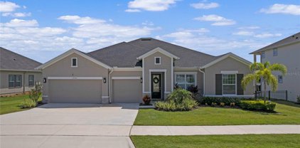 17314 Hickory Wind Drive, Clermont