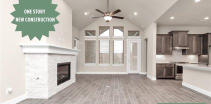 4718 Mountain Laurel Drive, Manvel
