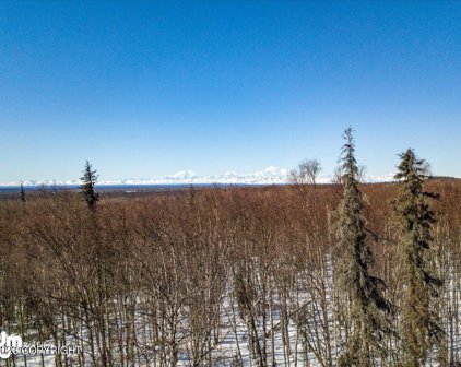 30684 S Talkeetna Spur Road, Talkeetna
