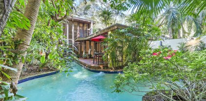 3974 Utopia Ct, Coconut Grove