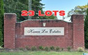 Ronny Lane Unit 1, Springville image