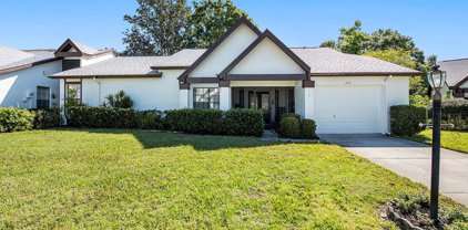 1337 Camelot Court, Palm Harbor