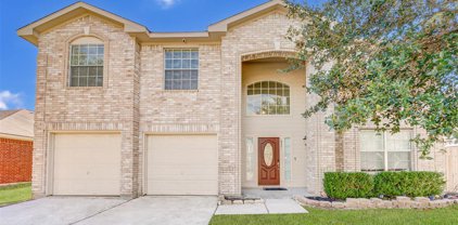 14331 Glade Point Drive, Cypress