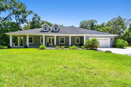 2125 Shady Oaks Drive, Valrico