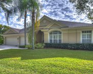 10314 Carroll Cove Place, Tampa image