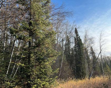 26231 W Crystal Lake Road, Willow