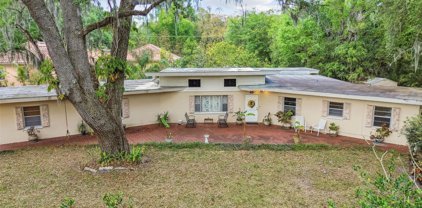 11519 N Ravine Road, Tampa