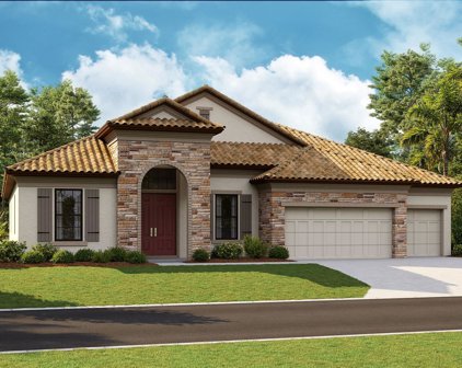 13149 Pasture View Loop, Riverview