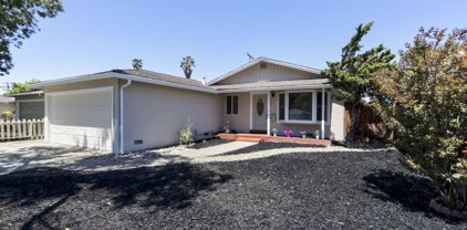 237 Sylvia AVE, Milpitas