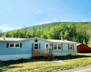 1662 Hauverville Road, Middleburgh image