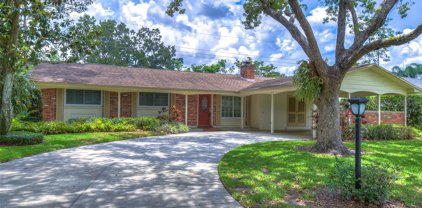3315 Valencia Road, Tampa