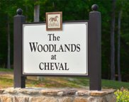 5909 Long Stirrup  Lane Unit #118, Mint Hill image