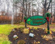 14 Woodland Drive Unit 14, Cromwell image