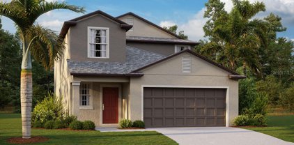 67 Rain Lily Avenue, Spring Hill