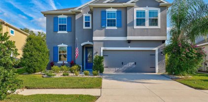 33184 Whisper Pointe Drive, Wesley Chapel