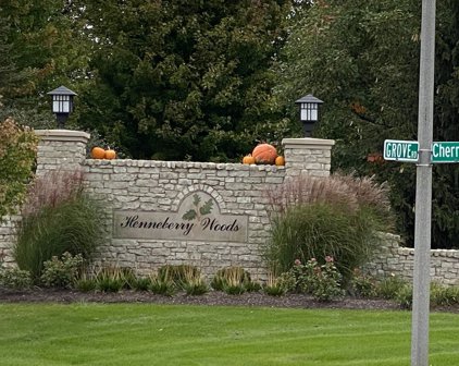 4165 Steam Mill Court, Oswego