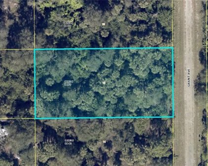 1505 Grant Avenue, Lehigh Acres