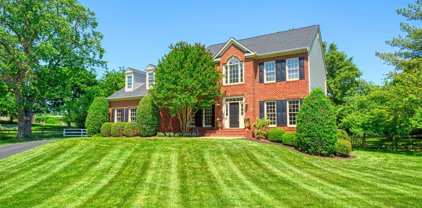 11104 Tommye Ln, Reston