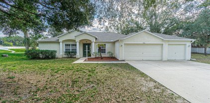 9302 Barrington Oaks Drive, Dover