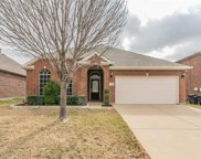15828 Coyote Hill  Drive, Fort Worth image