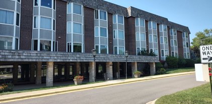 400 Ascot Drive Unit #101L, Park Ridge